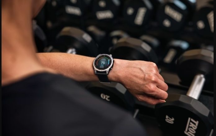 Garmin Fenix E
